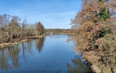 12 von 12 im Februar 2022