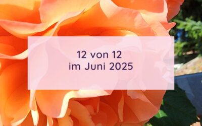 12 von 12 im Juni 2025