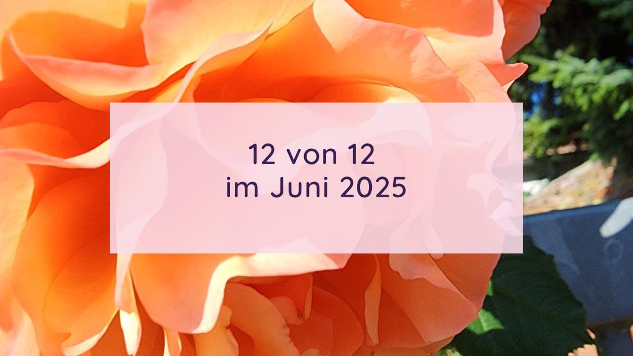 Beitragsbild für den Blogartikel 12 von 12 im Juni 2025